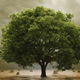Illustration for article titled Scientists Have Drafted a Complete Tree of Life